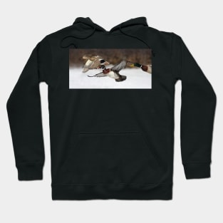 Flying the friendly skies - Wood Duck Hoodie